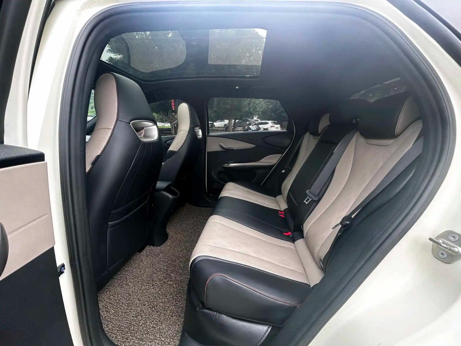 BYD 2023 Dolphin