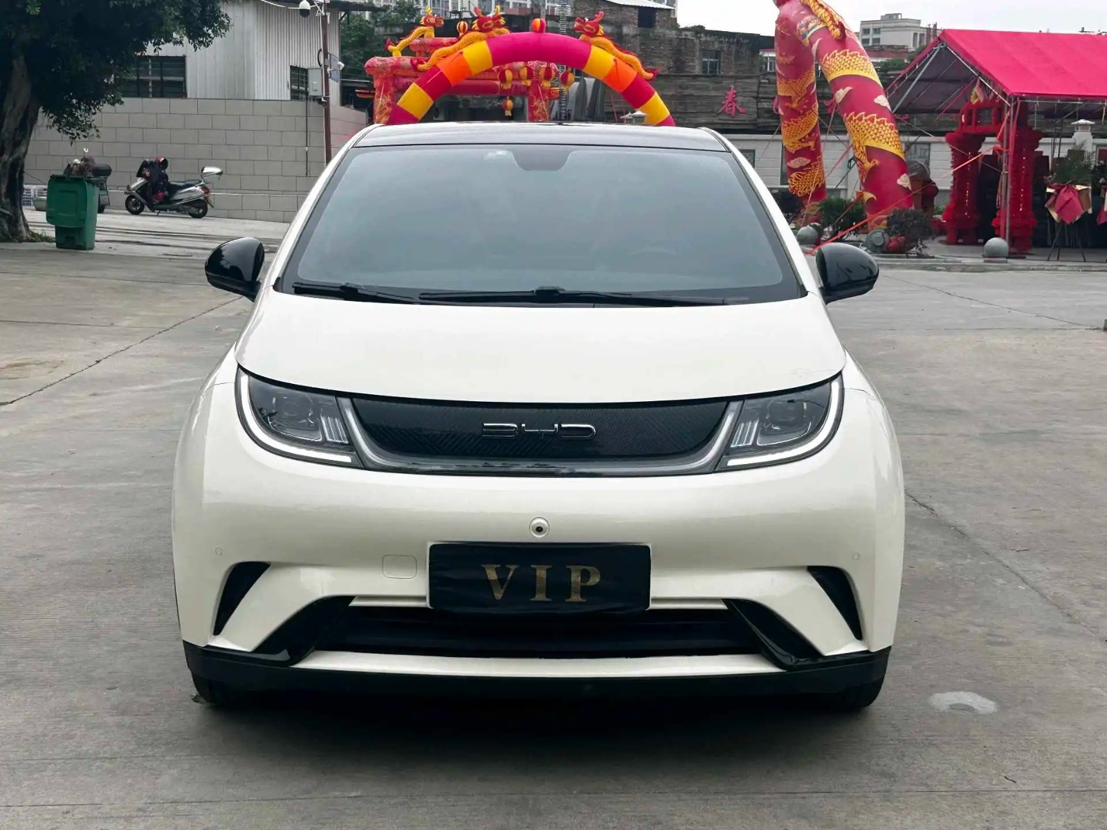 BYD 2023 Dolphin