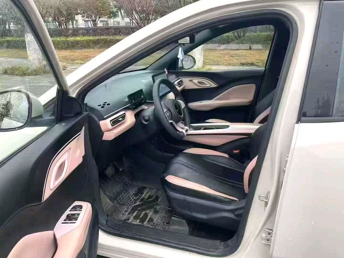 BYD Seagull