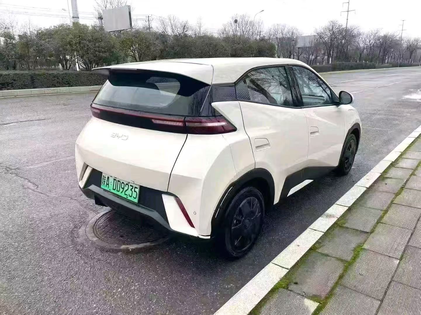 BYD Seagull