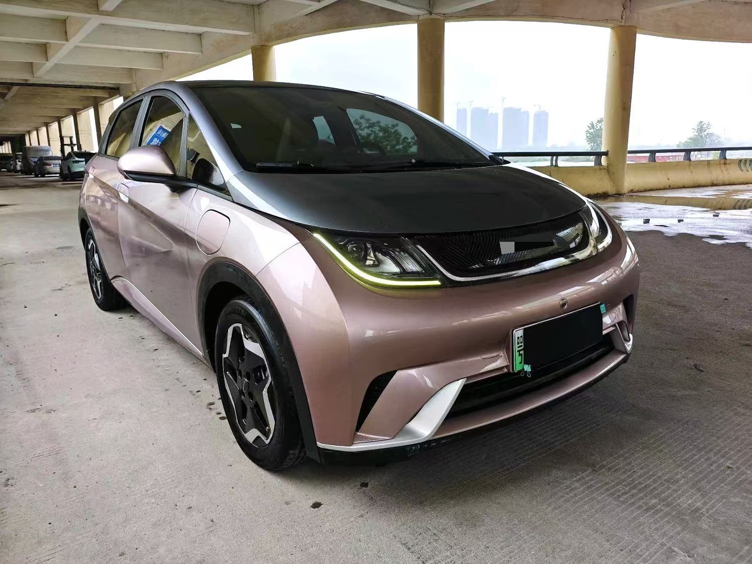 BYD Dolphin