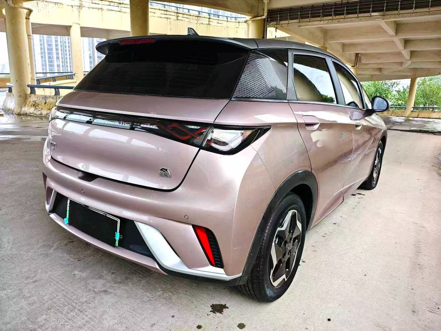 BYD Dolphin